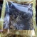 蟾蜍皮整张干货一公斤包邮