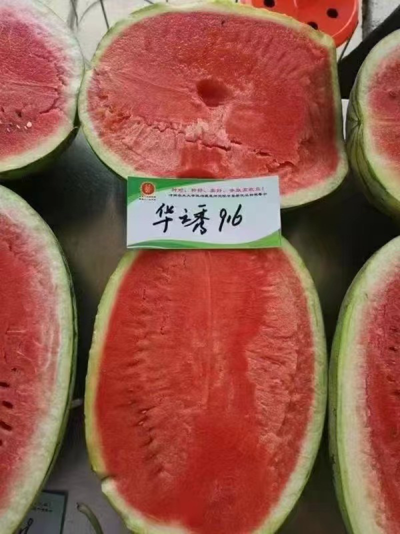 华之秀916西瓜种子大果硒砂瓜双红瓤高产抗病