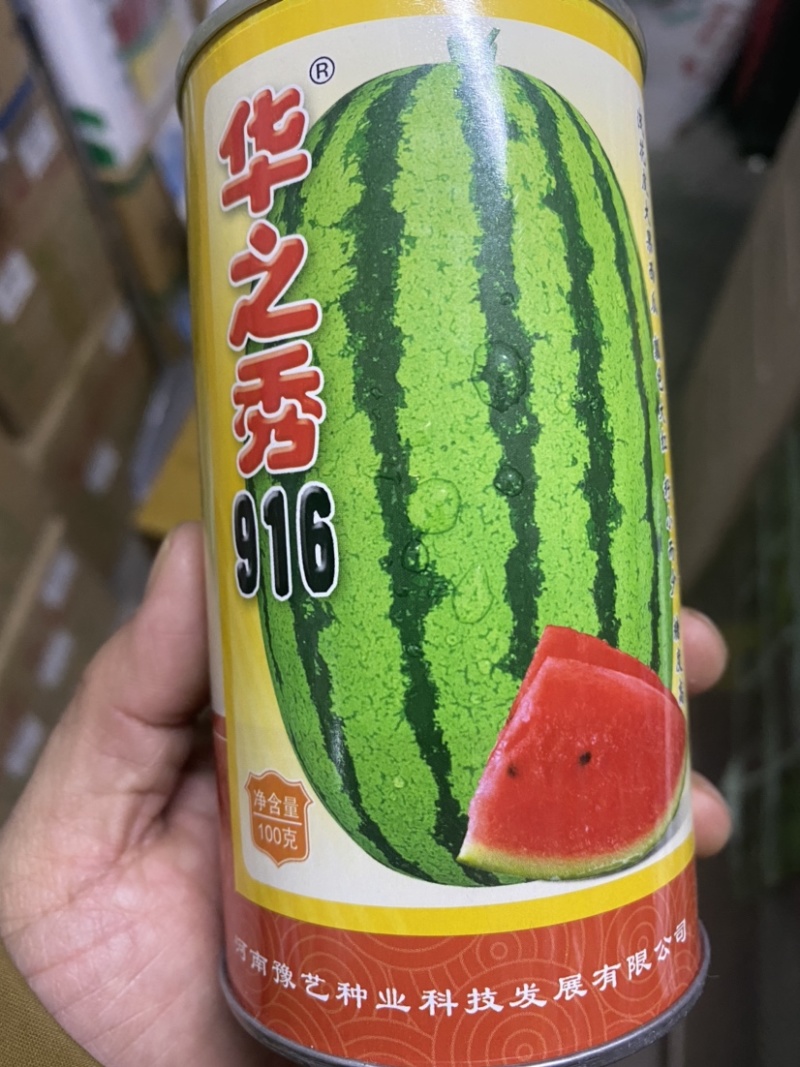 华之秀916西瓜种子大果硒砂瓜双红瓤高产抗病
