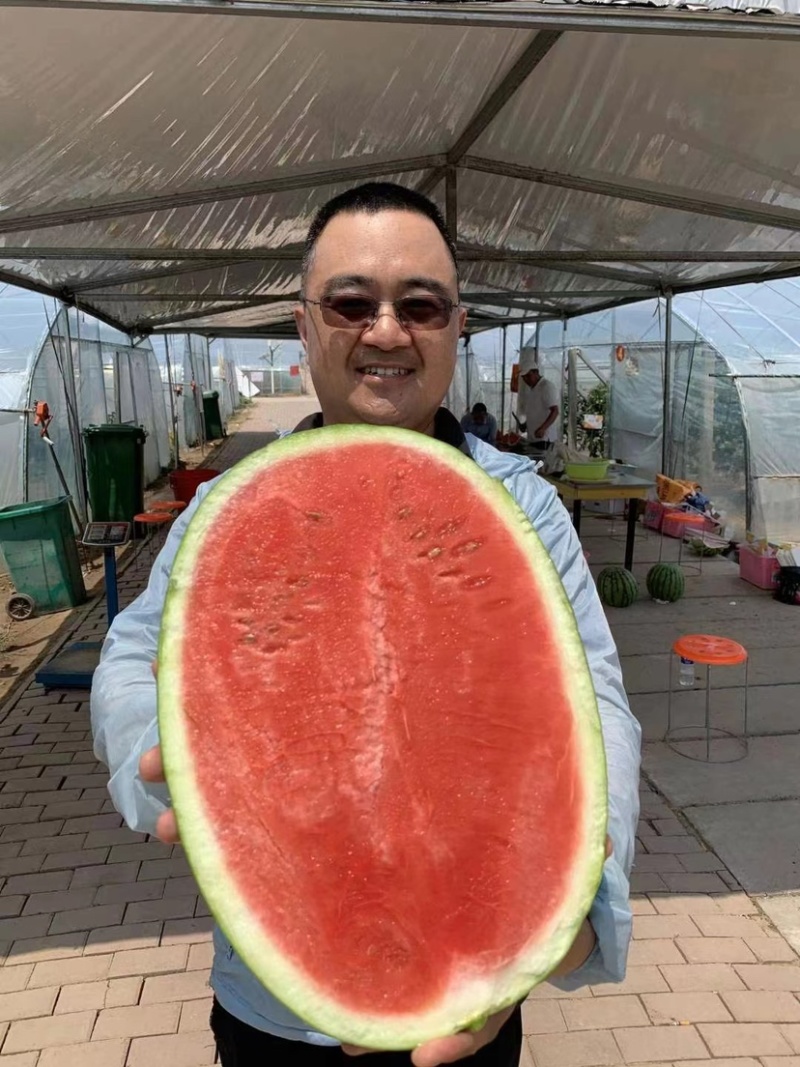 华之秀916西瓜种子大果硒砂瓜双红瓤高产抗病