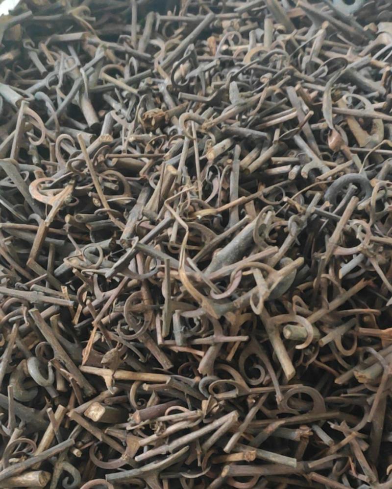 钩藤干货中药材量大从优欢迎选购！