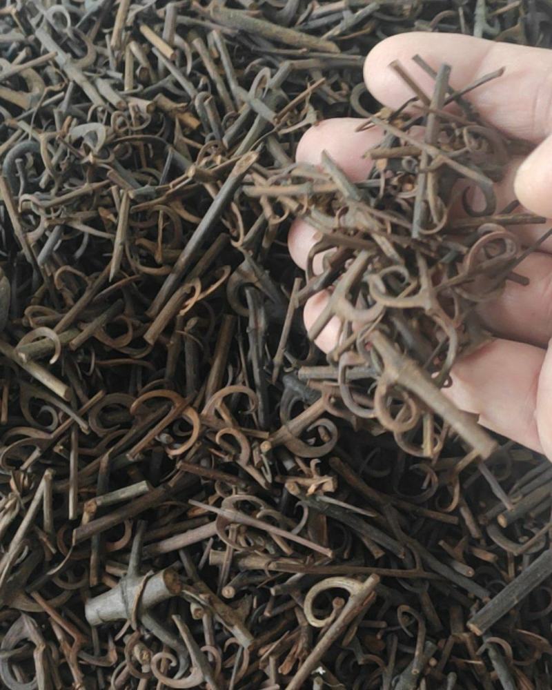 钩藤干货中药材量大从优欢迎选购！