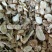 【黄芪好统货】@【同欢药材】中药材批发供应规格齐全