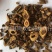 【内蒙黄芩枯芩好统货】@【同欢药材】中药材批发供应