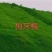 狗牙根种子进口草坪种子易活耐热耐旱护坡庭院绿化免修剪草皮