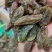 好货推荐【特大颗粒绿香妃葡萄干】颗粒饱满口感软糯