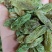 好货推荐【特大颗粒绿香妃葡萄干】颗粒饱满口感软糯