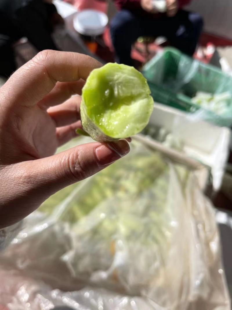 青美黄瓜大量现货供应！