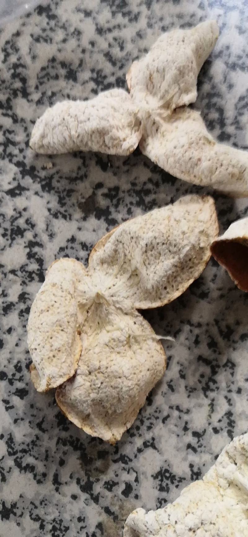 广西精品陈皮上新/无杂质量大从优/量大价优