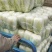 精品娃娃菜大量供应江苏产地直供质量保证对接商超