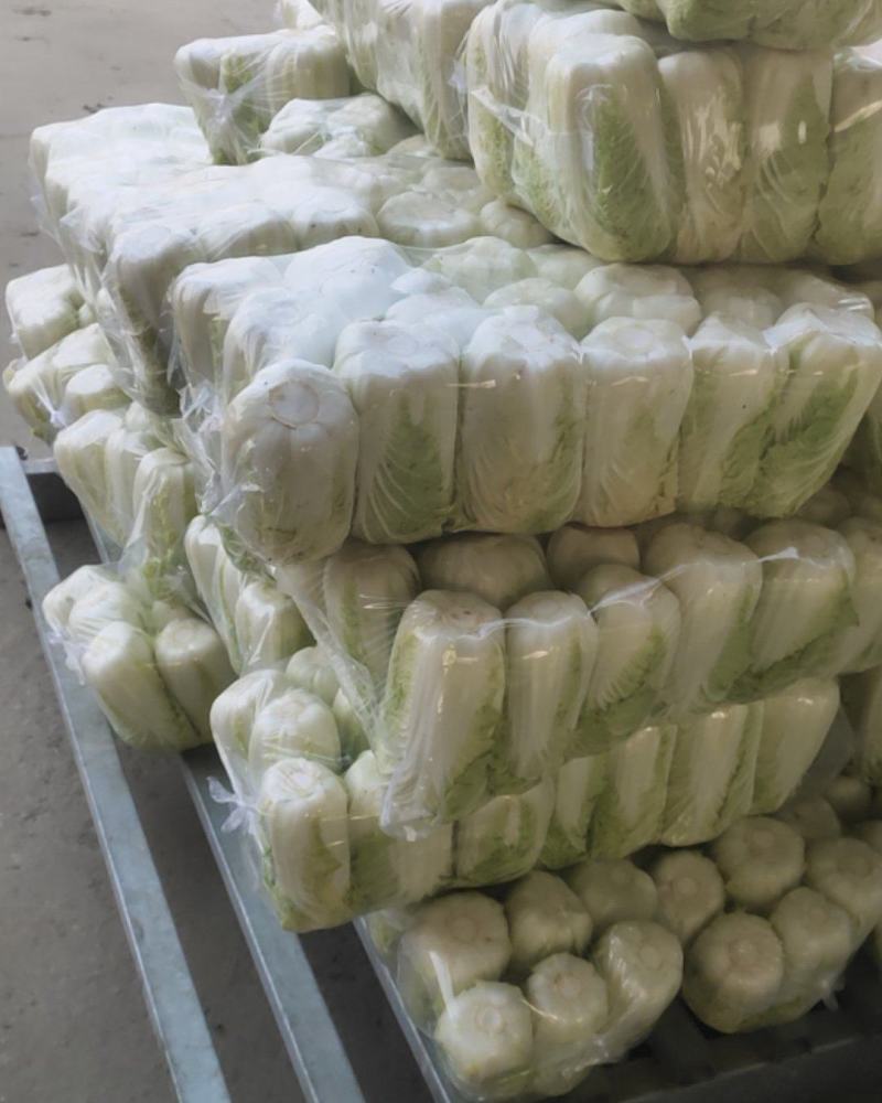 精品娃娃菜大量供应江苏产地直供质量保证对接商超