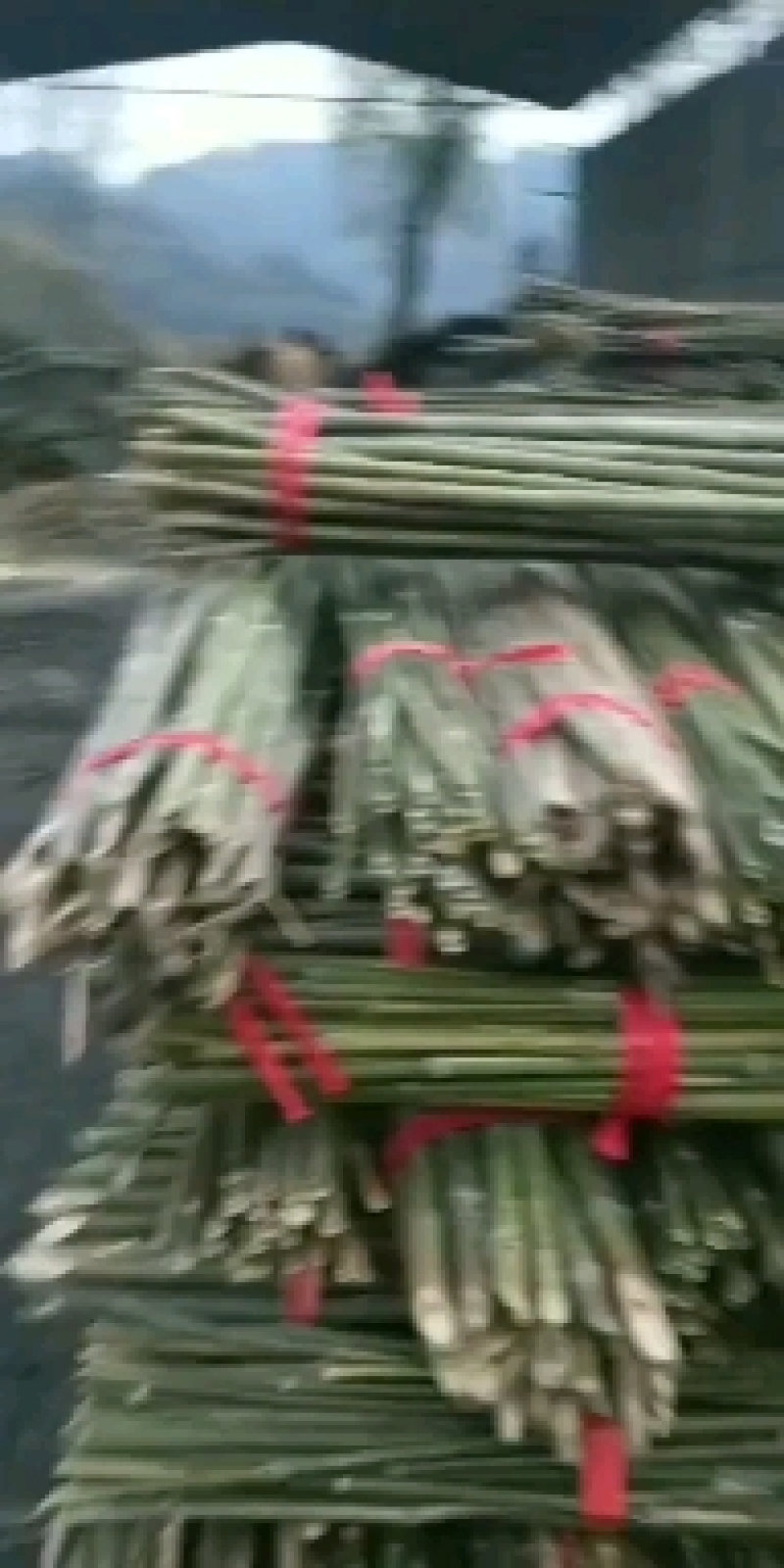河南濮阳范县竹竿批发市场