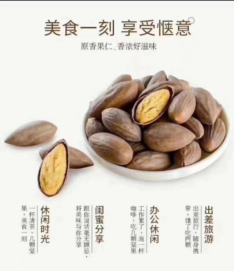 老树香榧出售