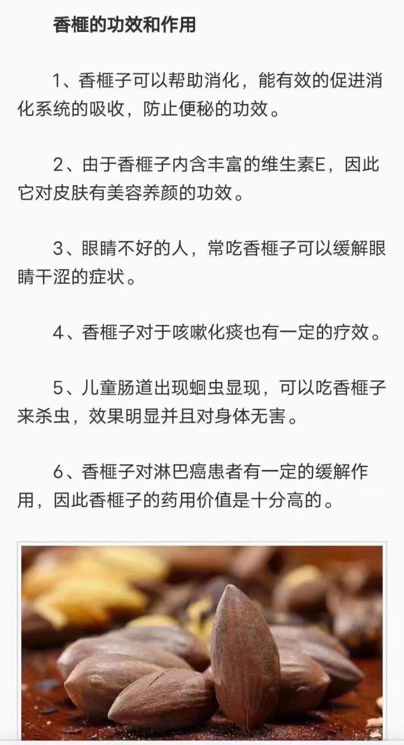 老树香榧出售