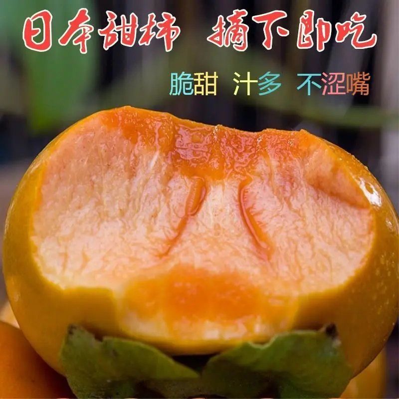 山东柿子树苗脆甜柿磨盘柿牛心柿特大柿子树