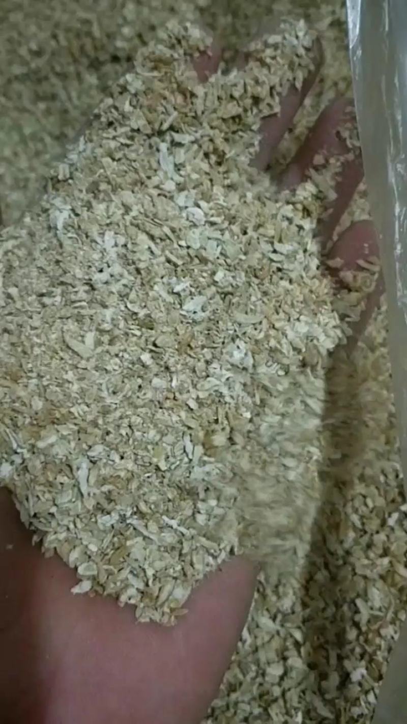 原产地大量批发西洋参打粉料全程不粘地面干净无沙放心食用