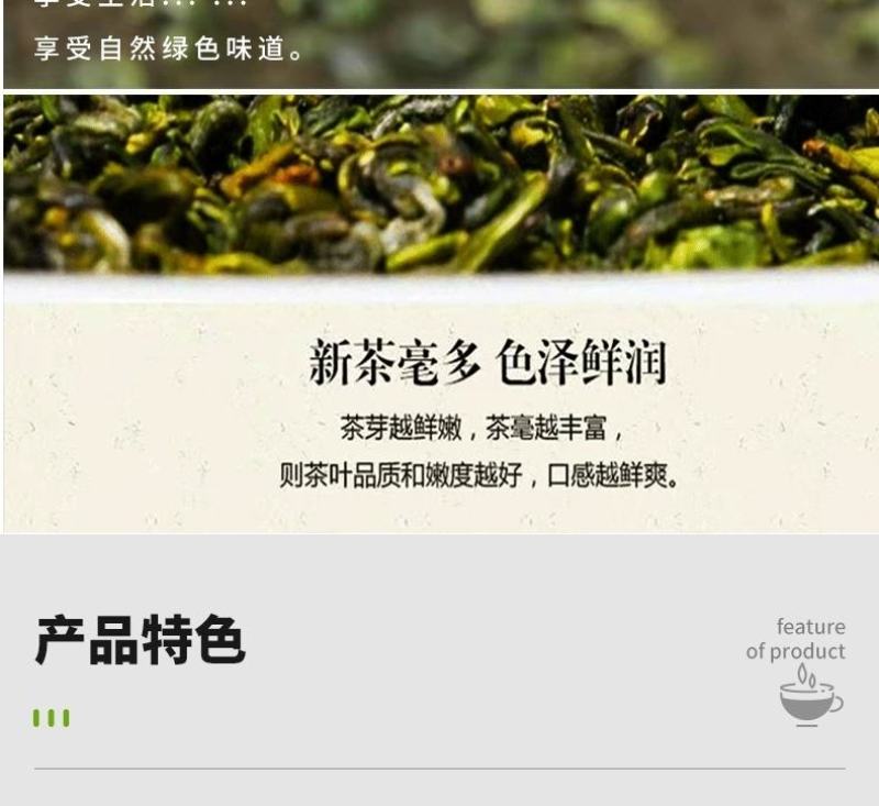 高原绿茶叶浓香型绿茶明前春茶高山云雾茶欧标干净免洗茶