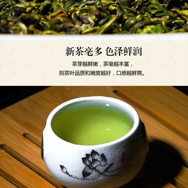 高原绿茶叶浓香型绿茶明前春茶高山云雾茶欧标干净免洗茶