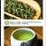 高原绿茶叶浓香型绿茶明前春茶高山云雾茶欧标干净免洗茶