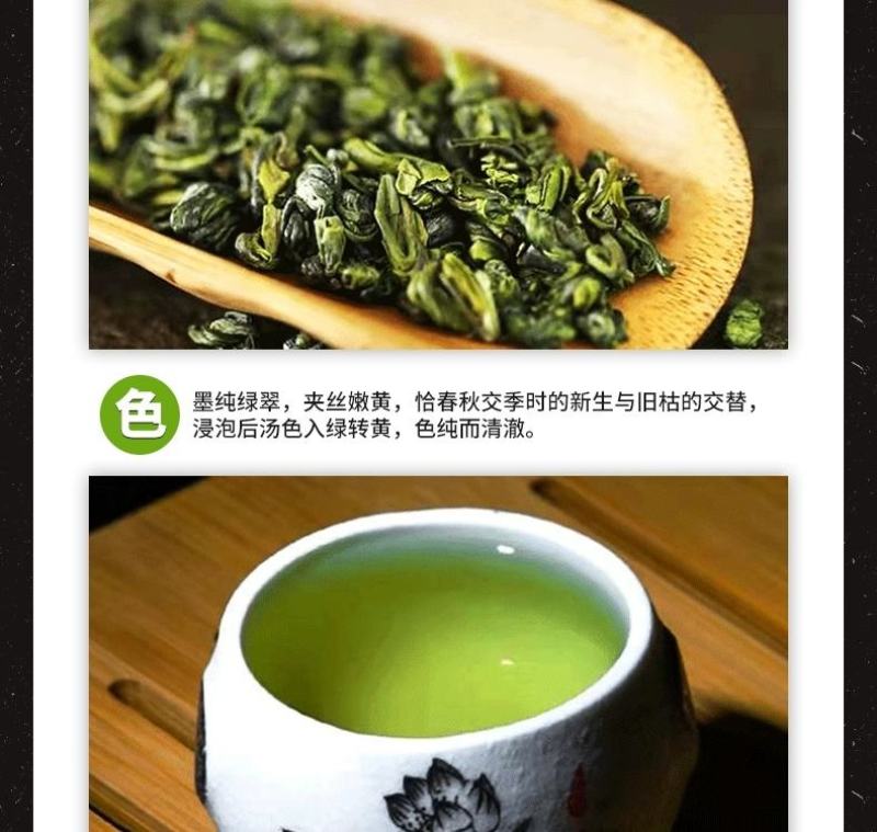 高原绿茶叶浓香型绿茶明前春茶高山云雾茶欧标干净免洗茶