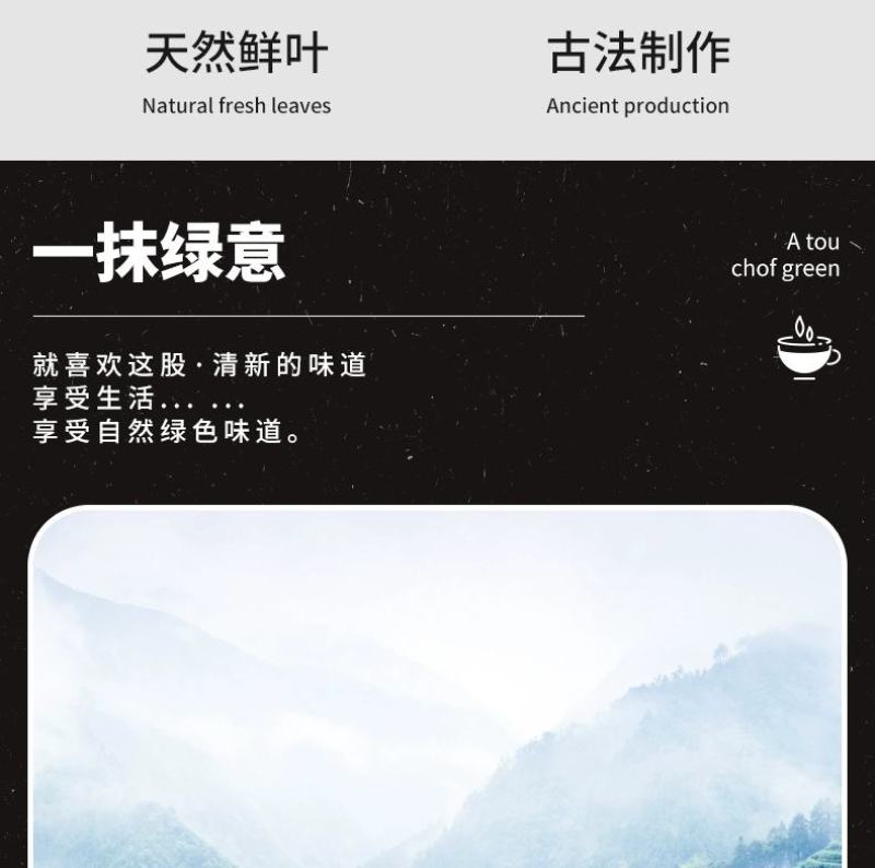 高原绿茶叶浓香型绿茶明前春茶高山云雾茶欧标干净免洗茶
