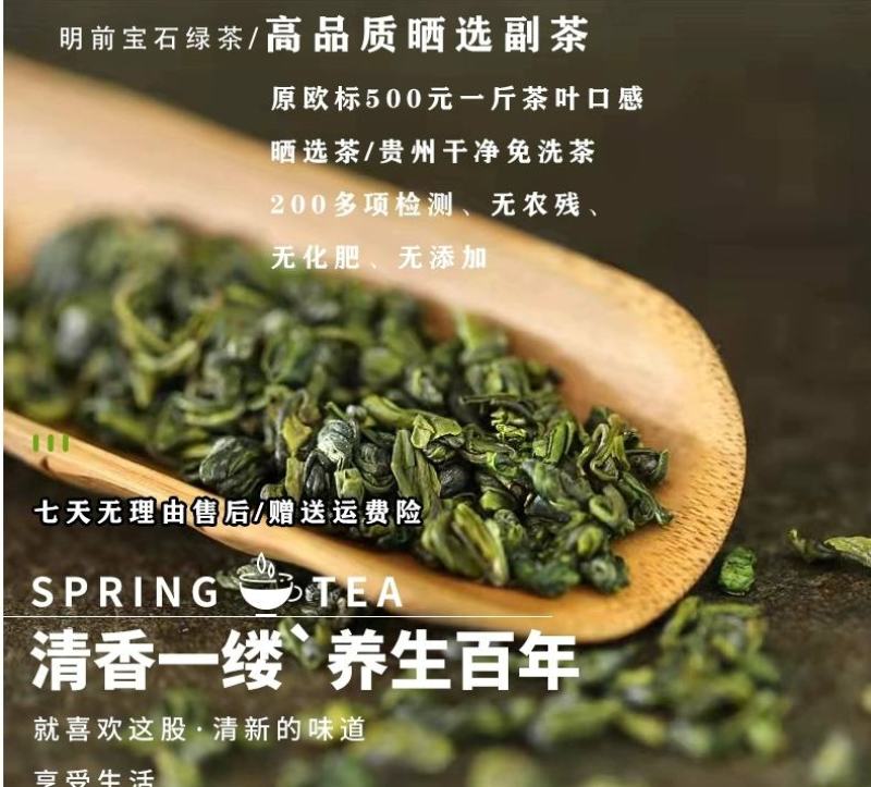 高原绿茶叶浓香型绿茶明前春茶高山云雾茶欧标干净免洗茶
