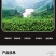 高原绿茶叶浓香型绿茶明前春茶高山云雾茶欧标干净免洗茶