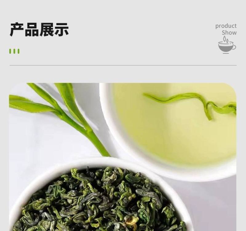 高原绿茶叶浓香型绿茶明前春茶高山云雾茶欧标干净免洗茶