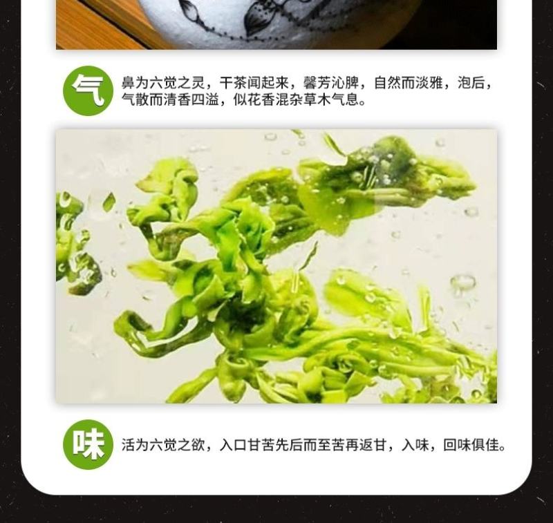 高原绿茶叶浓香型绿茶明前春茶高山云雾茶欧标干净免洗茶
