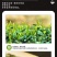 高原绿茶叶浓香型绿茶明前春茶高山云雾茶欧标干净免洗茶