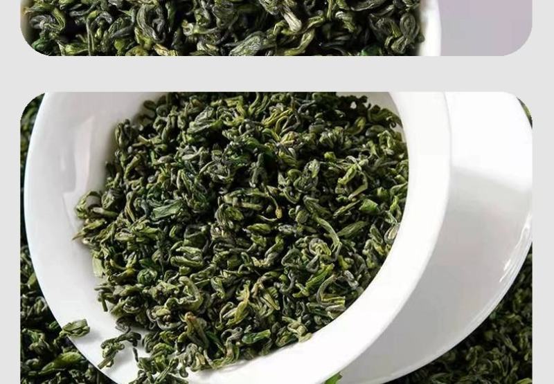 高原绿茶叶浓香型绿茶明前春茶高山云雾茶欧标干净免洗茶