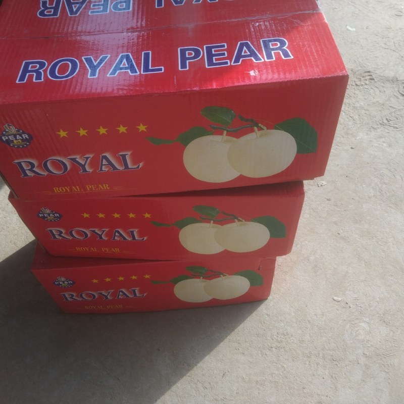42皇冠梨，河北深州皇冠梨，大量有货。水晶梨