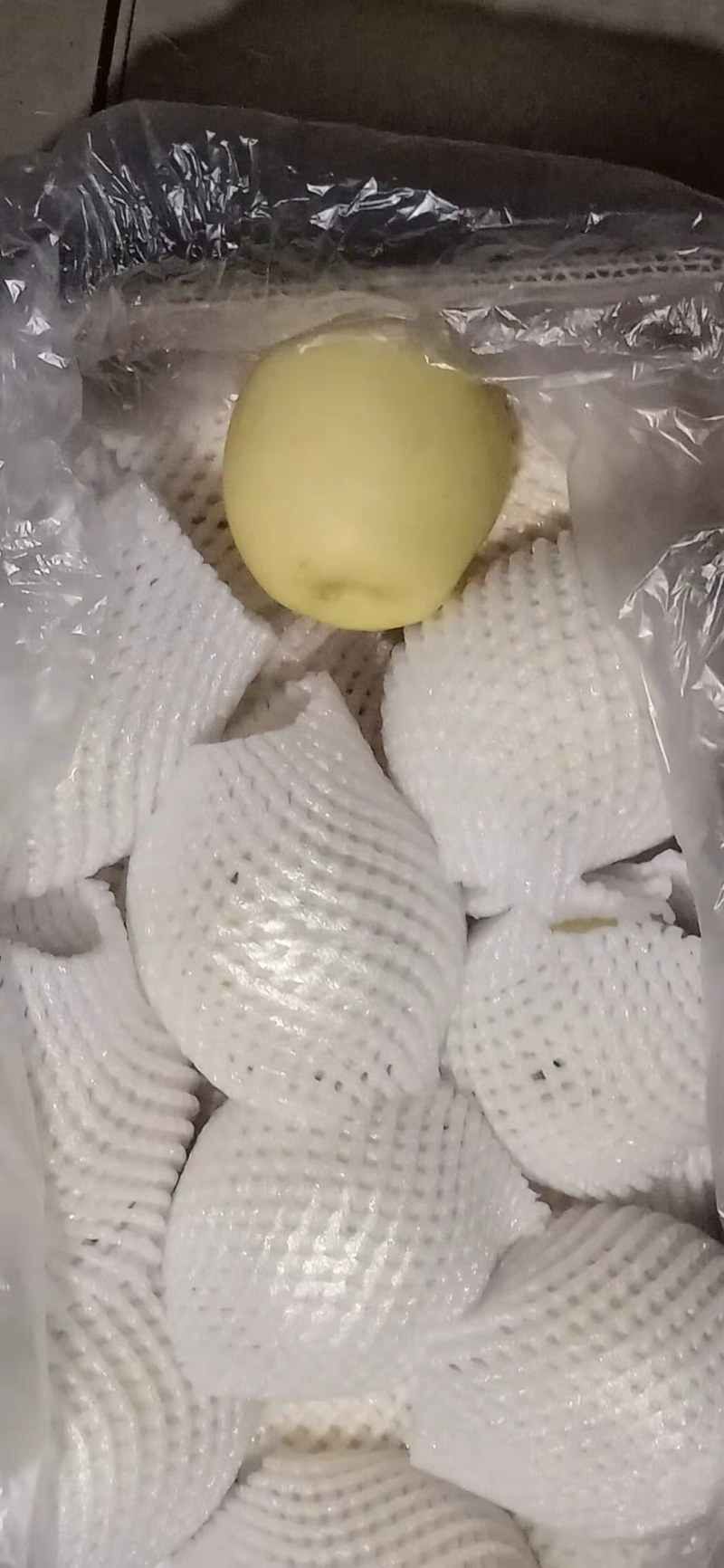 冷库精品河北深州皇冠水晶梨，精品皇冠梨，量大优惠