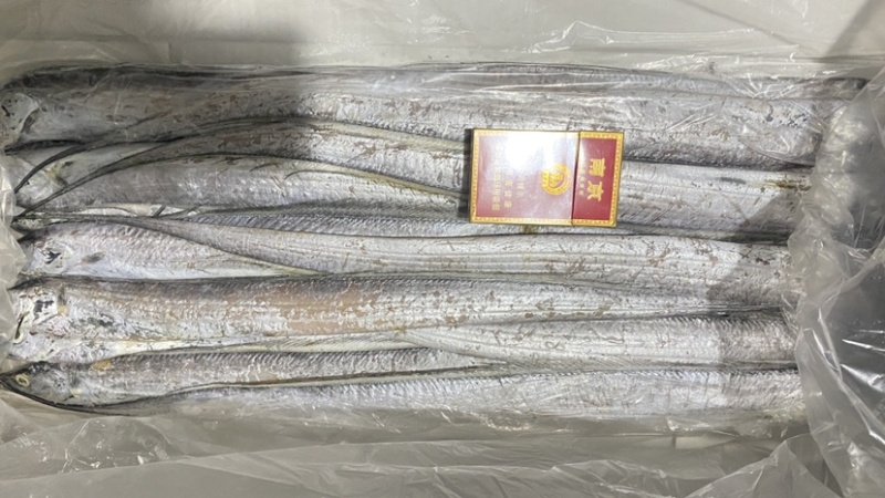 渤海湾刀鱼6.7斤一箱