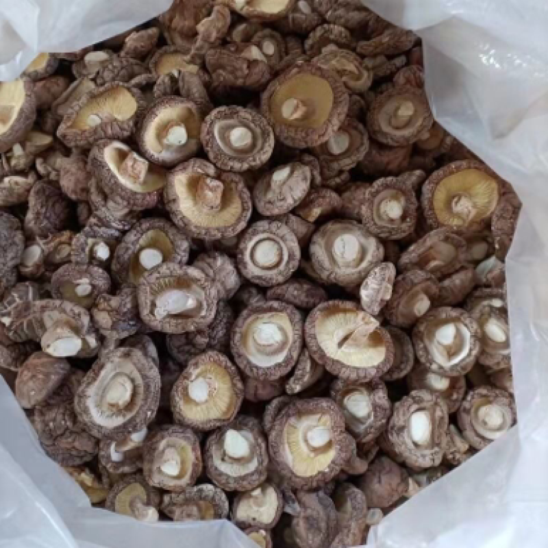 【1斤25元包邮】精选香菇干肉厚无根香菇干