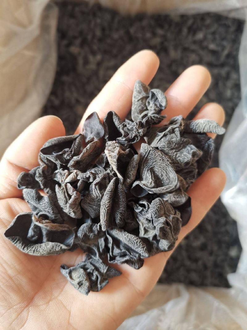 东北黑木耳无根肉厚小碗耳秋木耳批发商超饭店电商摆地摊