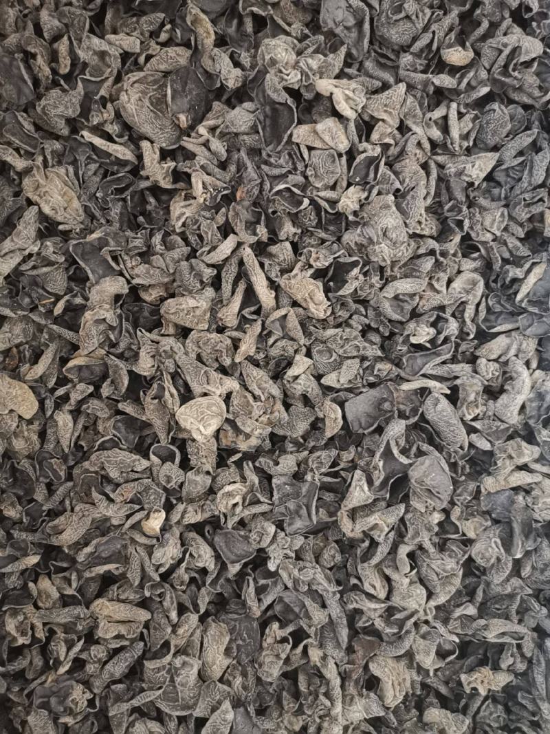东北黑木耳无根肉厚小碗耳秋木耳批发商超饭店电商摆地摊