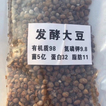 生物菌发酵大豆