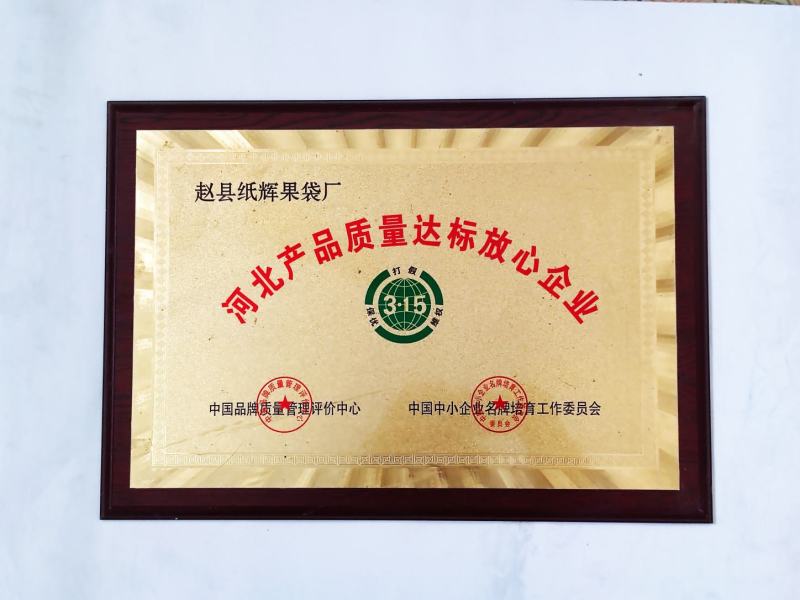中，晚熟桃子套袋，油蟠内蜡纸双层桃袋厂家直发全国发货