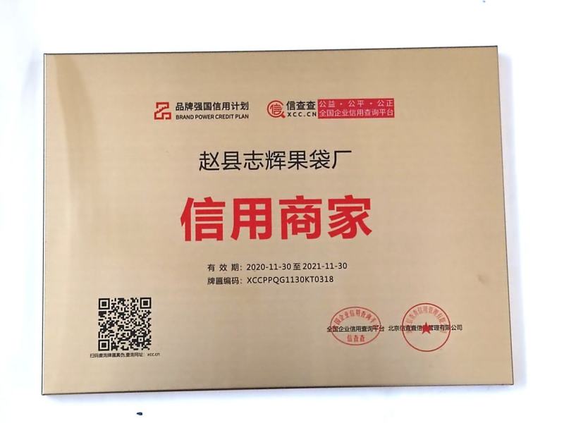 中，晚熟桃子套袋，油蟠内蜡纸双层桃袋厂家直发全国发货