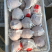 蒲江春见耙耙安高次大量批发水分好味道甜