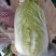 （精品）黄心大白菜，长期有货，质量保证，欢迎来电