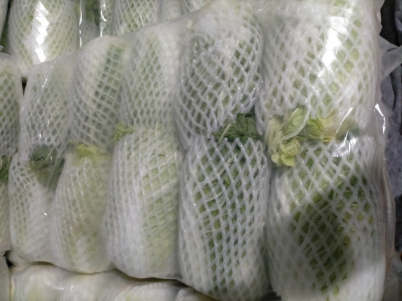 （精品）黄心大白菜，长期有货，质量保证，欢迎来电