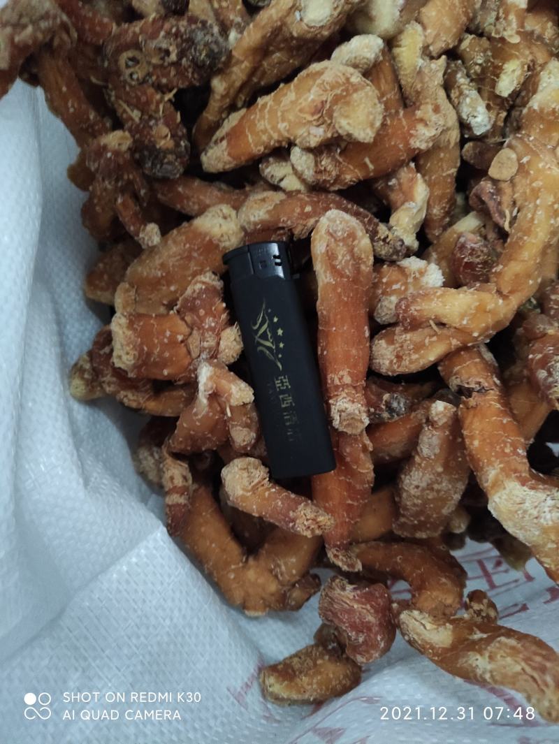 姜型多花鲜黄精大块茎中药材，药食同源大补