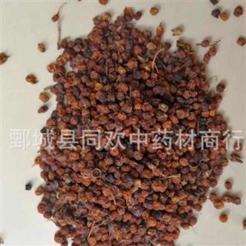 【南五味子】@【同欢药材】中药材批发供应规格齐全