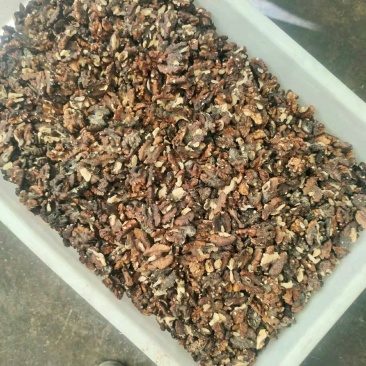 黑红仁，榨油用核桃仁