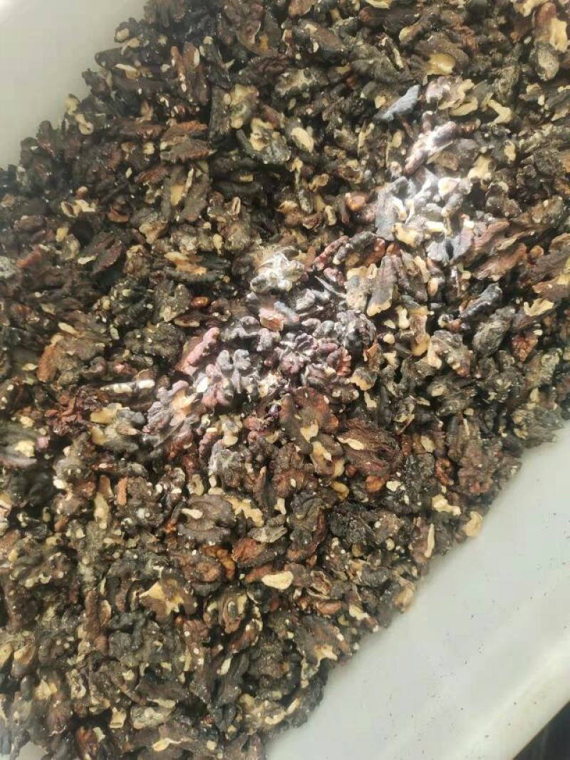 黑红仁，榨油用核桃仁