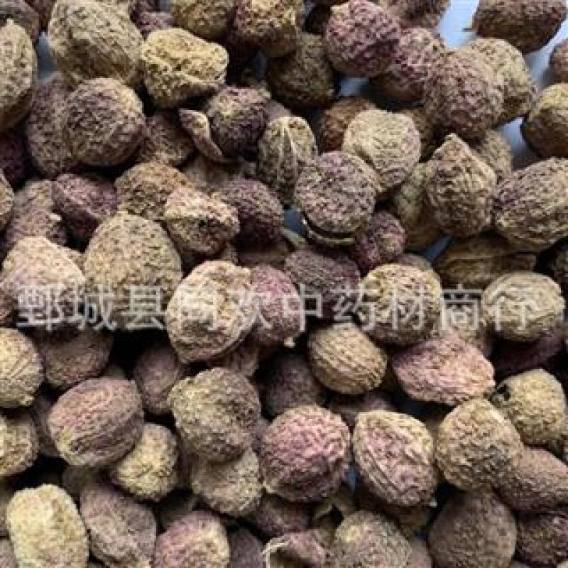 【壳砂国产阳春砂仁】@【同欢药材】中药材批发供应
