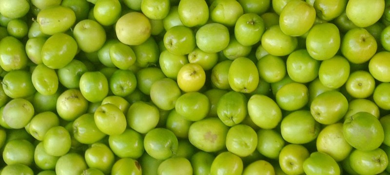 青枣，口感甜趣，水果汁多，量大价格从优，