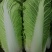 北京三号白菜，冬储北京三号白菜，大量现货